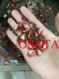 Ứng dụng máy sấy lạnh trong quá trình sấy dâu tây