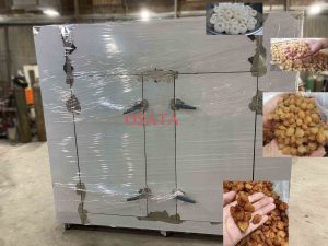 Máy sấy thực phẩm công nghiệp